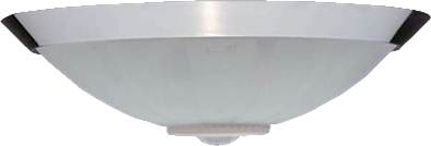 Metal Ceiling light